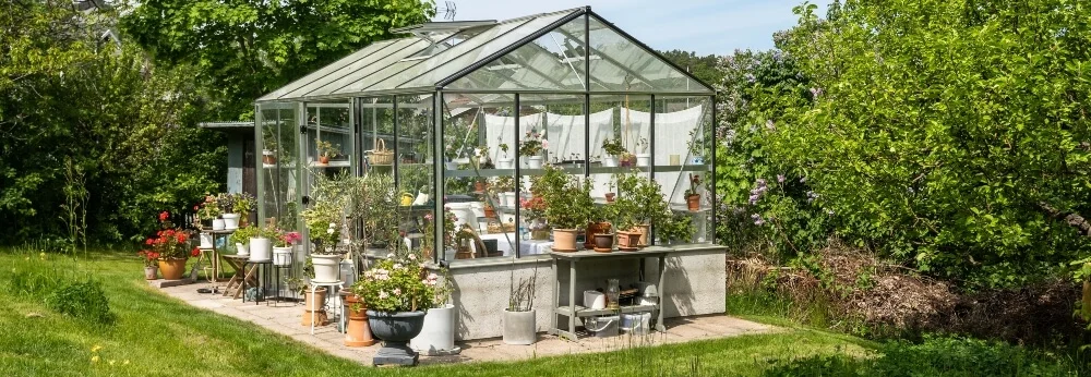 Gewächshaus im Garten